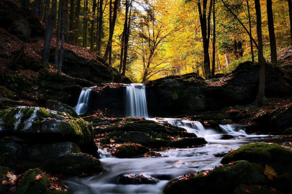 stream, river, rocky stream-7957258.jpg